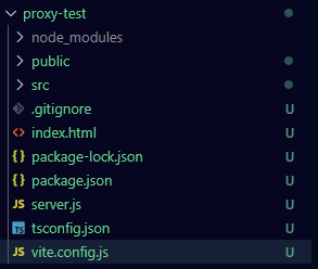 vite-server-proxy-option-simple_03.png