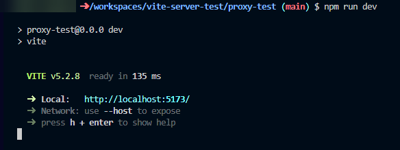 vite-server-proxy-option-simple_07.png