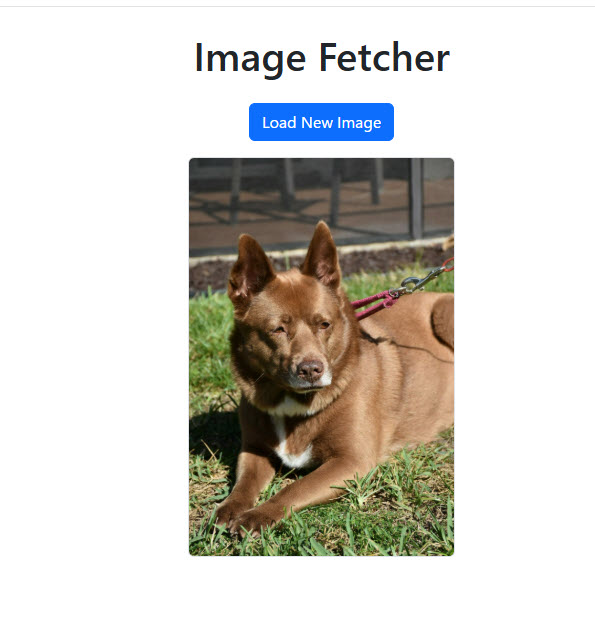 2025 年 5 月 ChatGPT の Web 版で簡単なフロントエンド開発の併走をしてもらうメモ のサムネイル